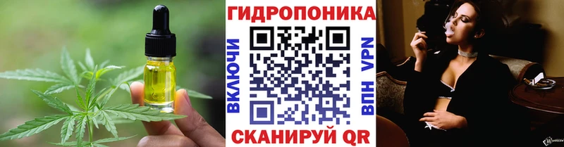 Canna-Cookies конопля  Купить где  Моршанск 