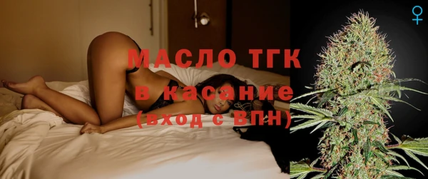 молекула духа Богородск