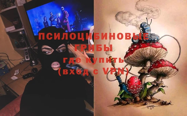 молекула духа Богородск