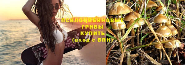 молекула духа Богородск