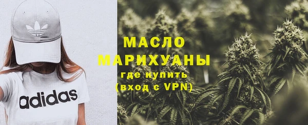 молекула духа Богородск