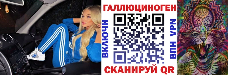 Купить закладки  Моршанск  Псилоцибиновые грибы Cubensis 