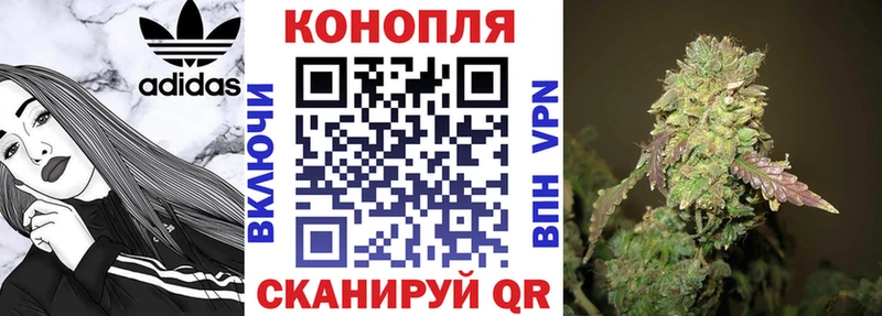 Купить закладки  Моршанск  Бошки Шишки марихуана 